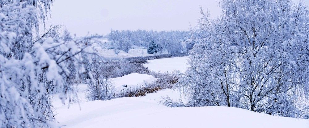Photograph by Михаил Логвиненко