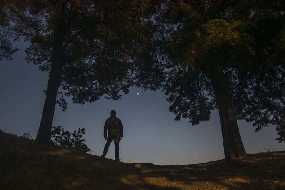The moon watcher