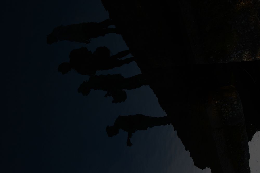 Shadows in the Lake
