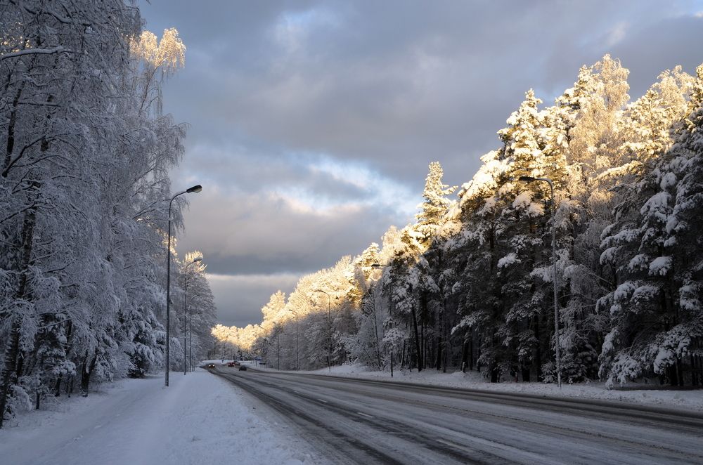 Photograph by Galina Baranovskaja