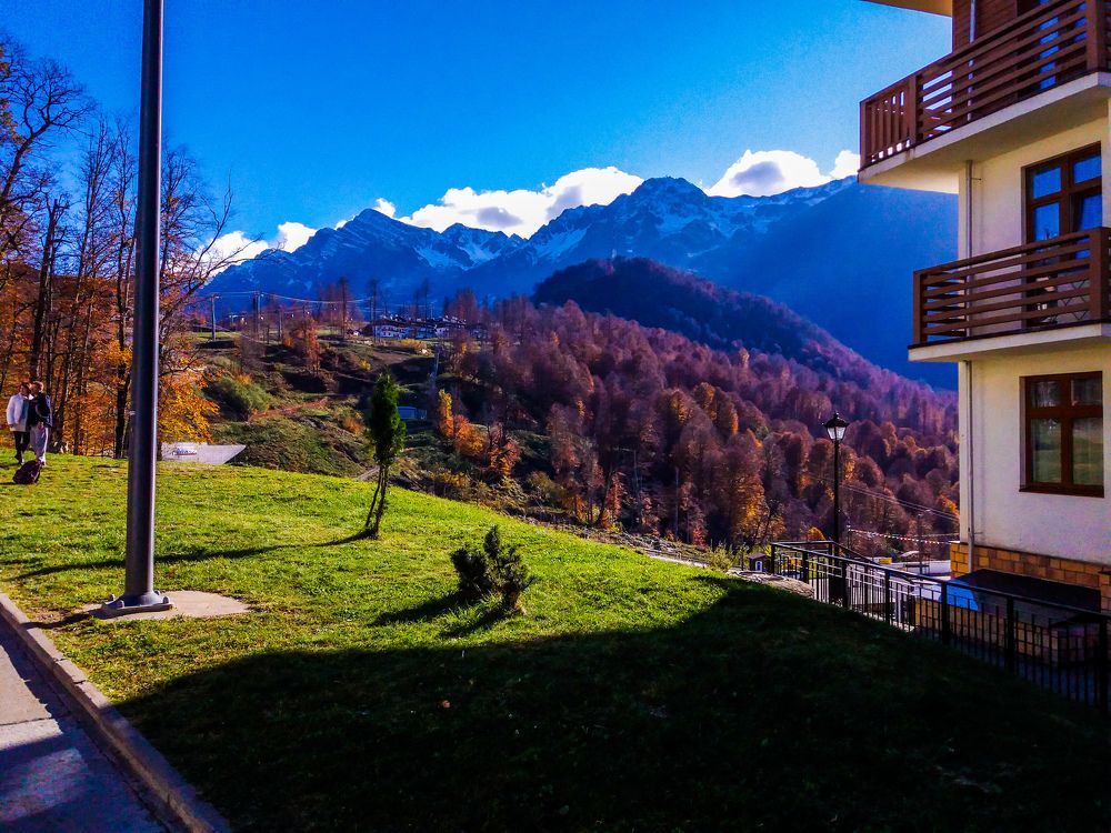 Осенние краски