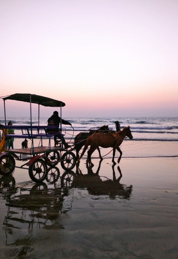 Horse carriage