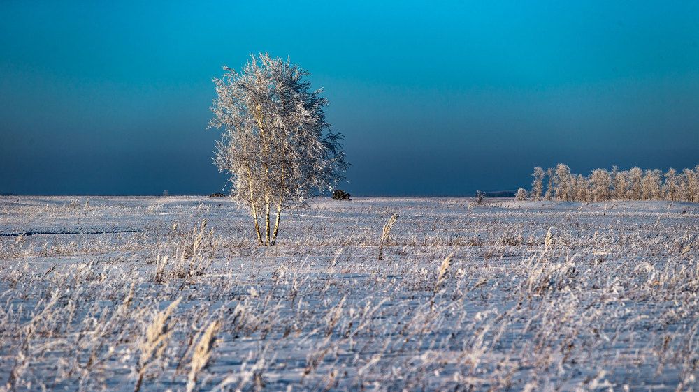 Во поле берёзонька стояла....