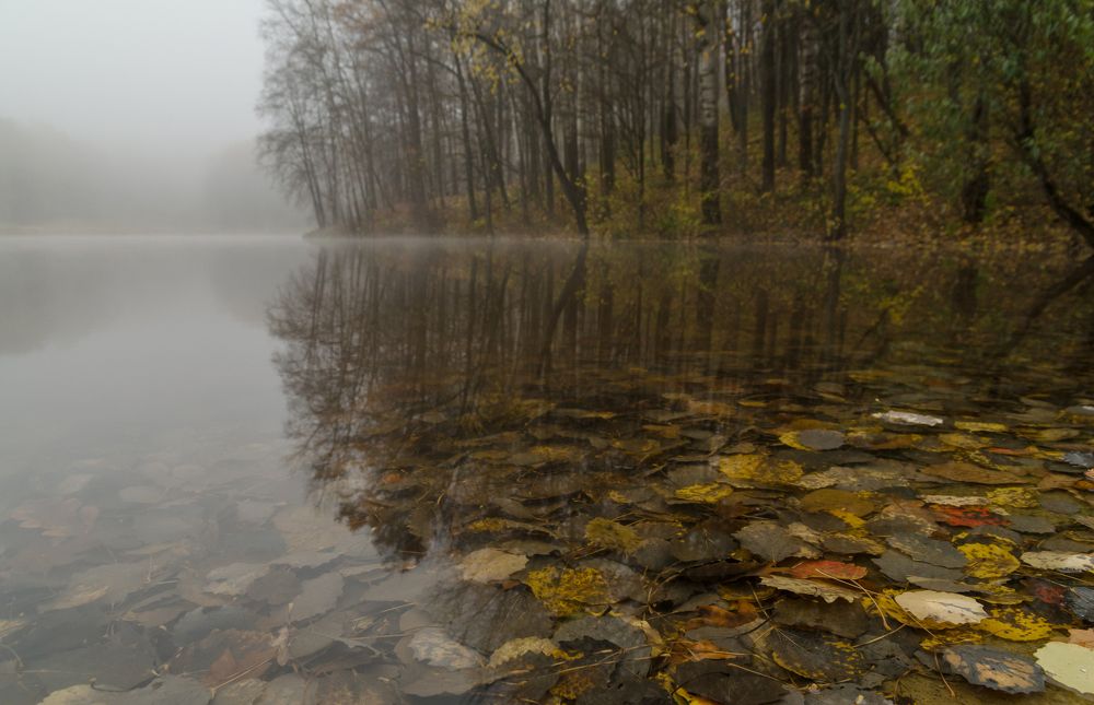 В хмуром пруду