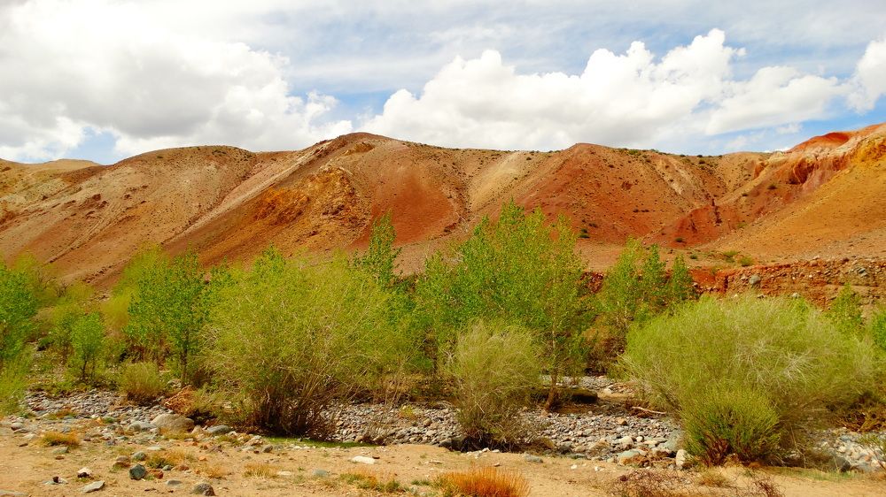 Photograph by Иван Угрюмов