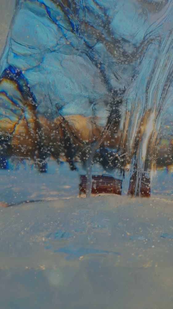 Ледяные тени