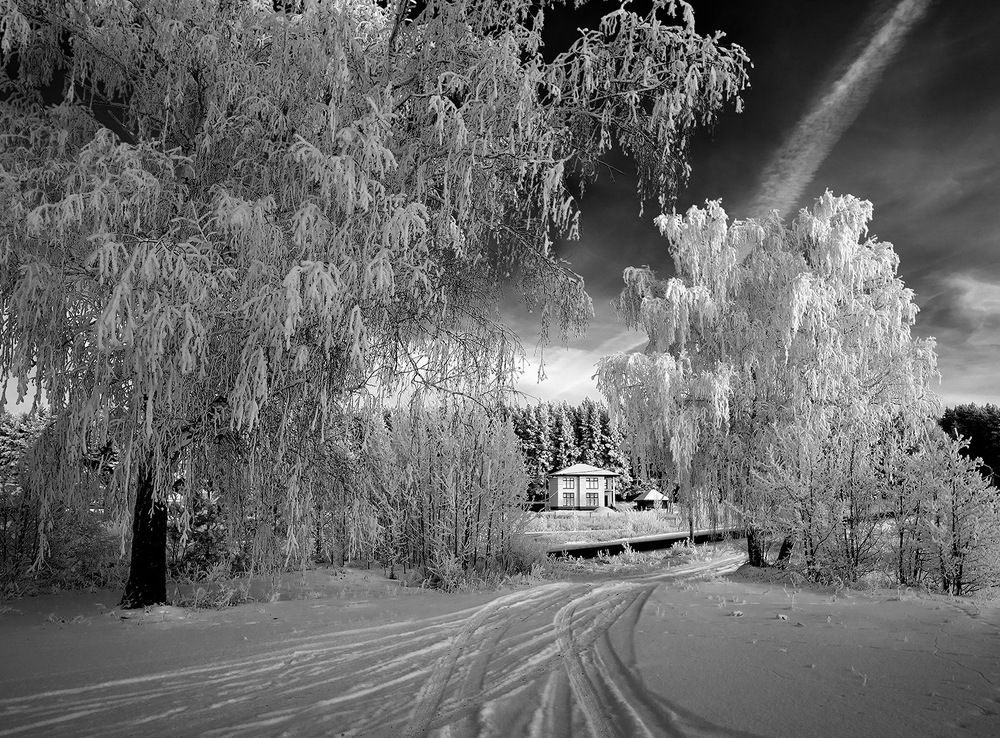 зимний пейзаж