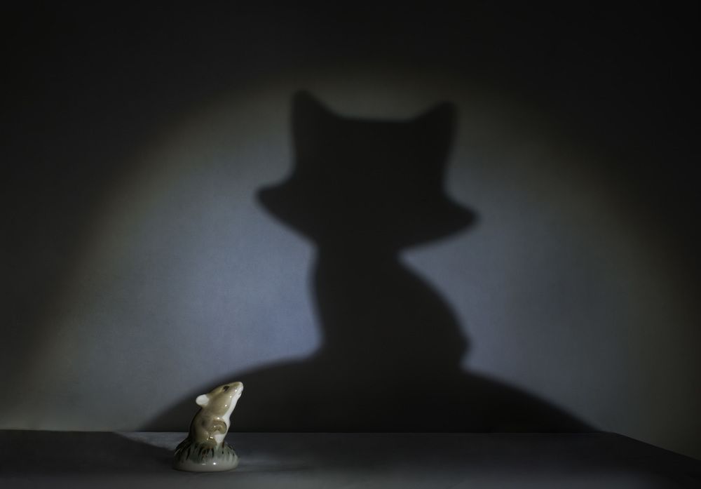 Кого боится мышка?