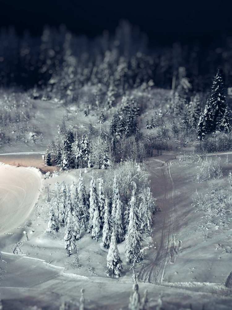 Зимняя миниатюра