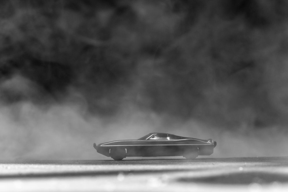 miniature (black and white)