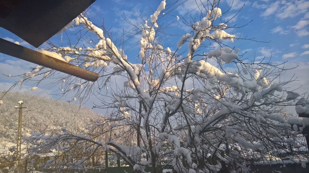 Snow flowers