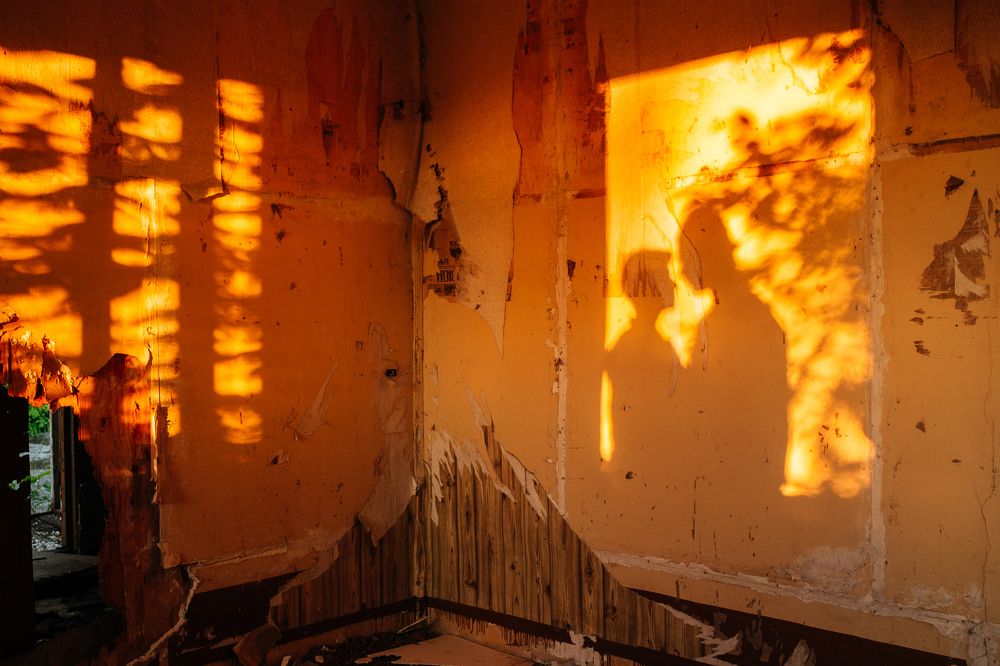 Photograph by Городничева Елена