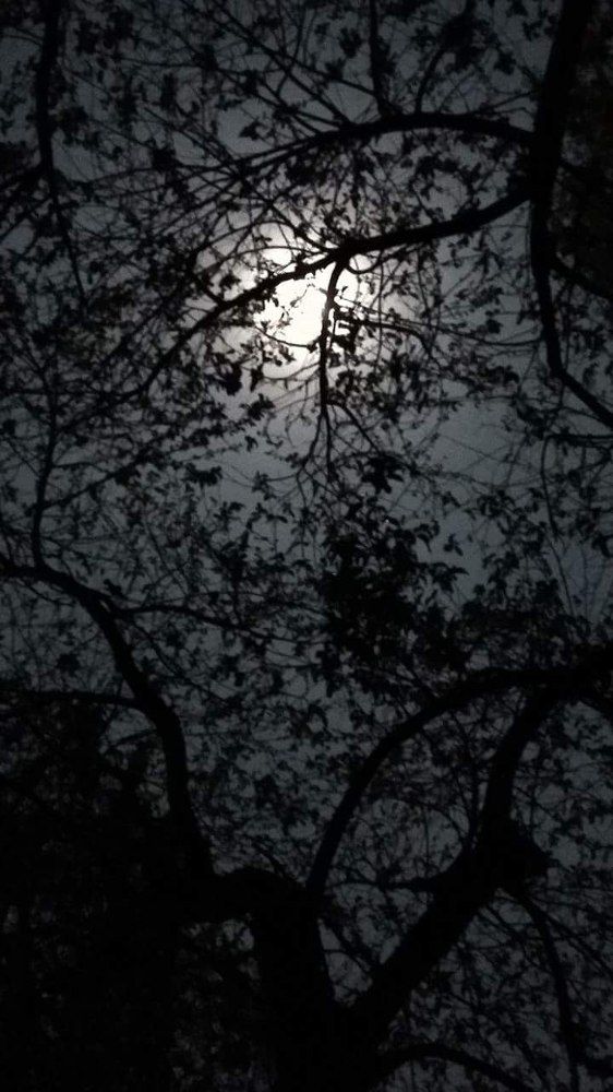 Photograph by Soumalya Chakraborty