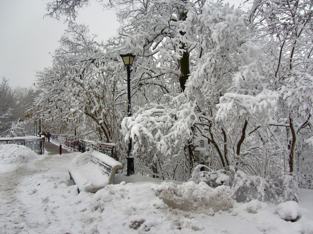 В зимнем парке