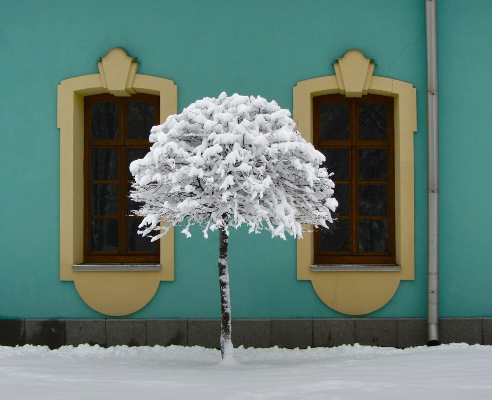 Морозный день