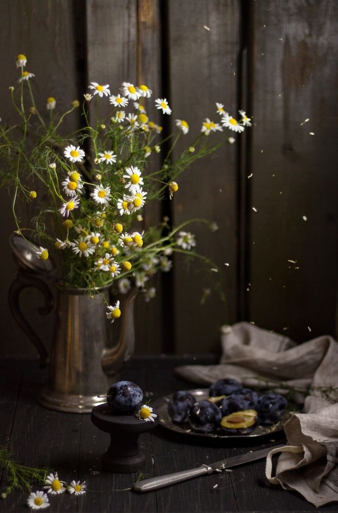 Ромашки и сливы