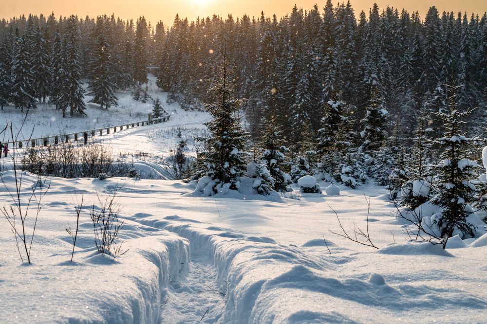 Photograph by Алексей Кашин