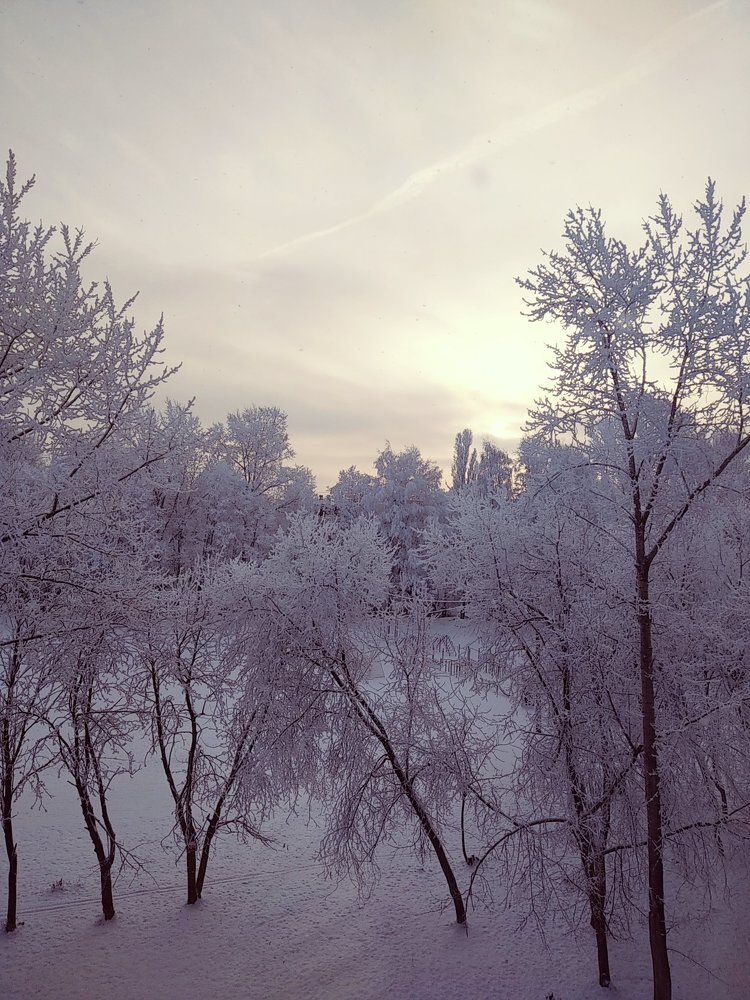 Чарующая красота зимы