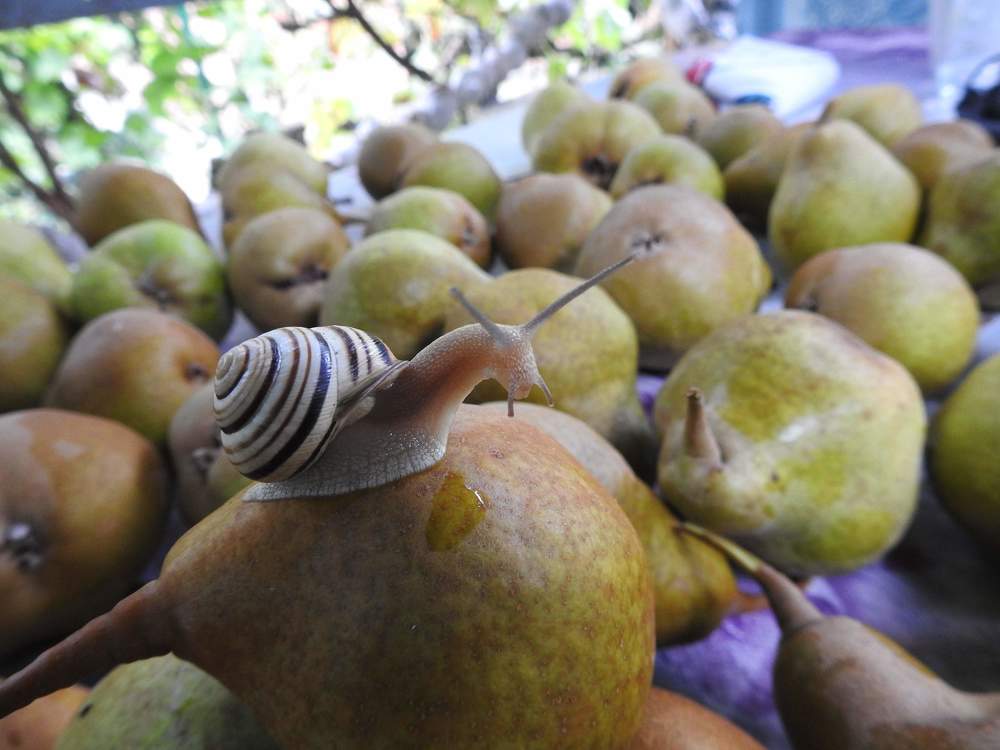 Photograph by Олександр Максимюк