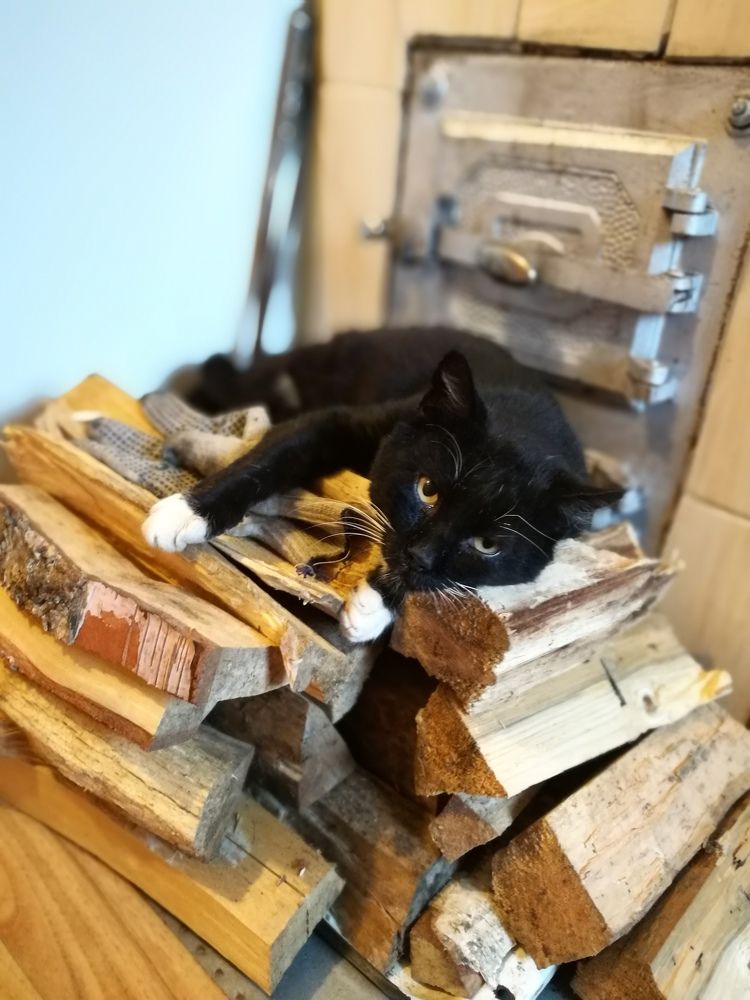 Черный пират