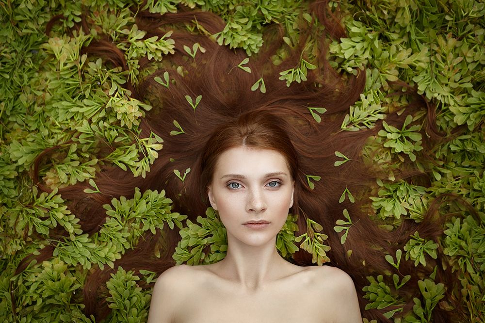 Опавший клен