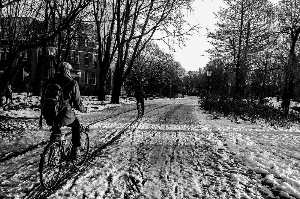 Photograph by Bassem Ahmed Khallaf