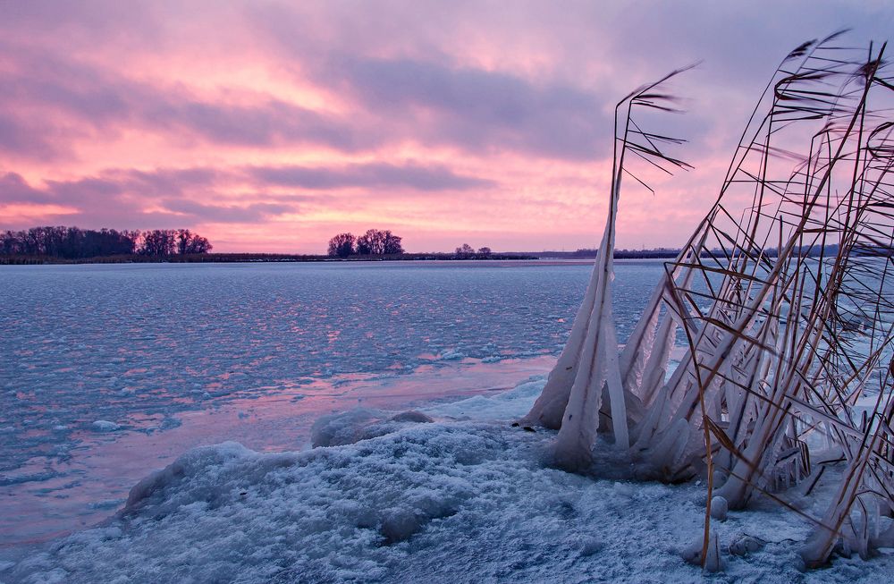 Ледяной рассвет