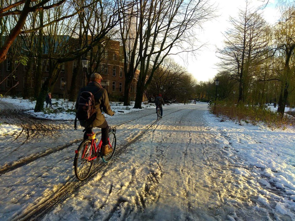 Photograph by Bassem Ahmed Khallaf