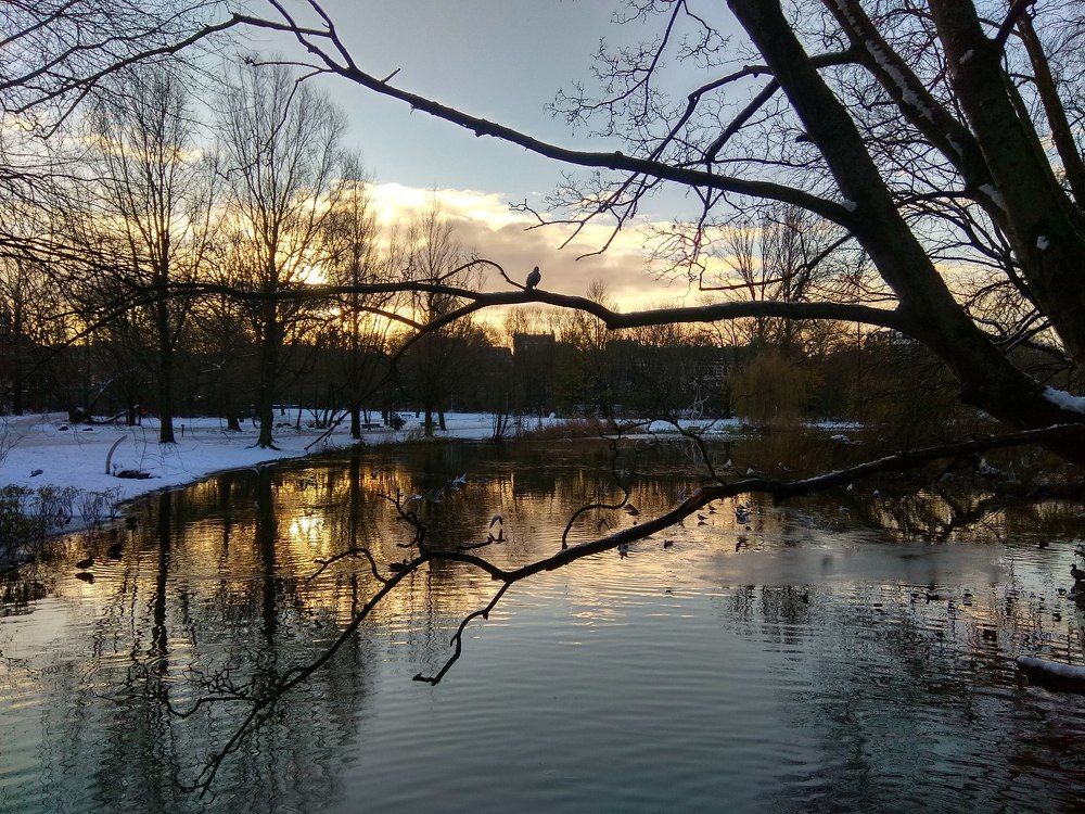 Photograph by Bassem Ahmed Khallaf