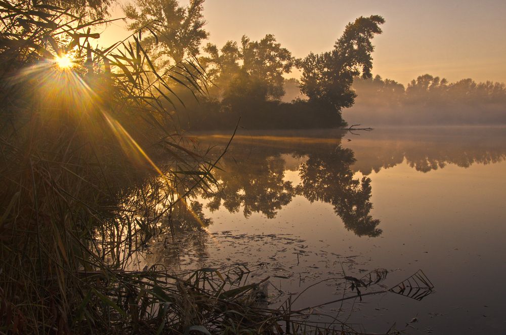 Обласканные утренним лучом