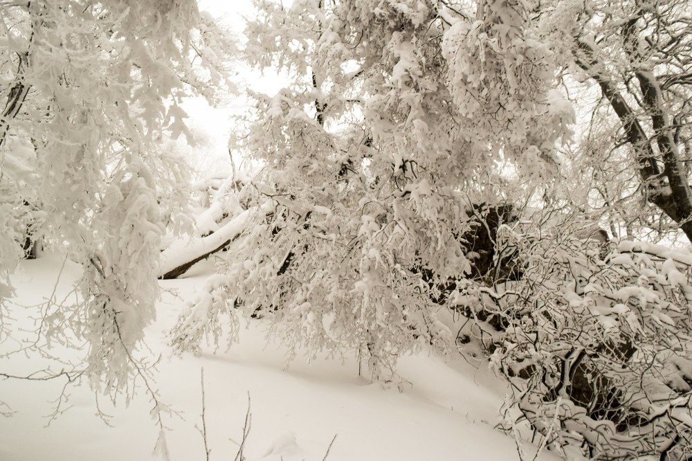 Photograph by Dritan Zaimi