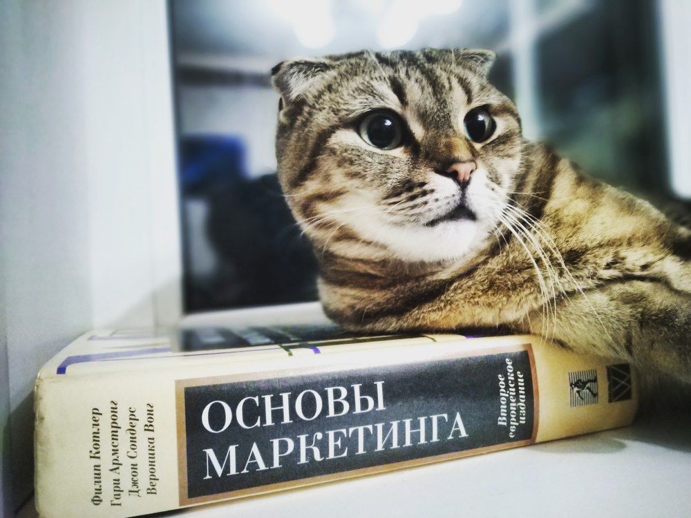 Фотография автора Александр Петаев