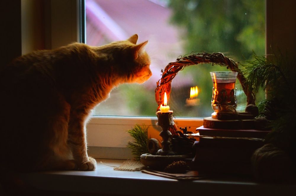 Дом милый дом