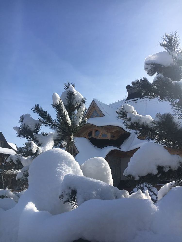 Зимняя сказка.