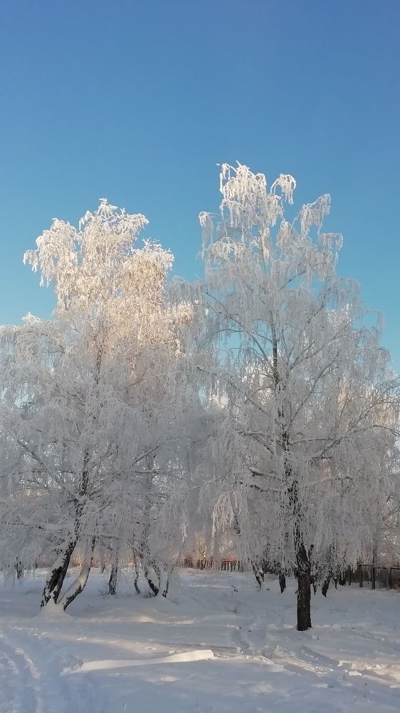 Photograph by Алексей Скачков