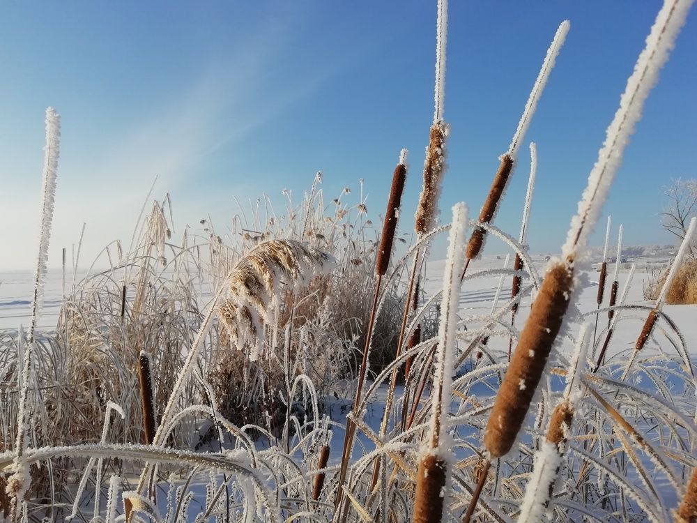 Photograph by Алексей Скачков