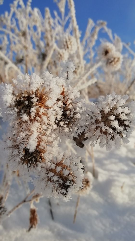 Photograph by Алексей Скачков