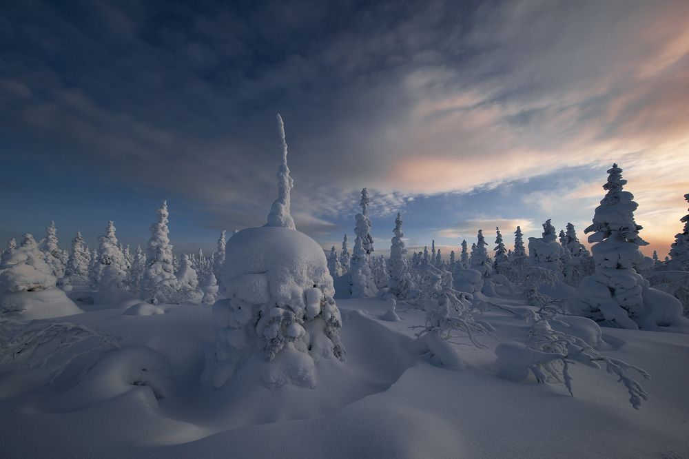 Зимние одежды