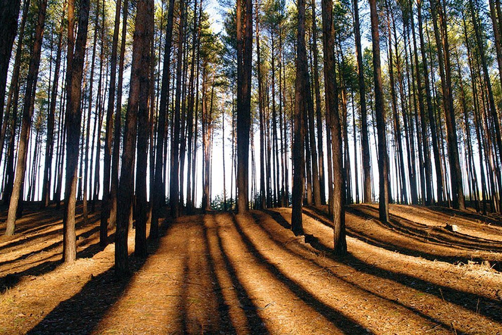 Photograph by Евгений Кулик