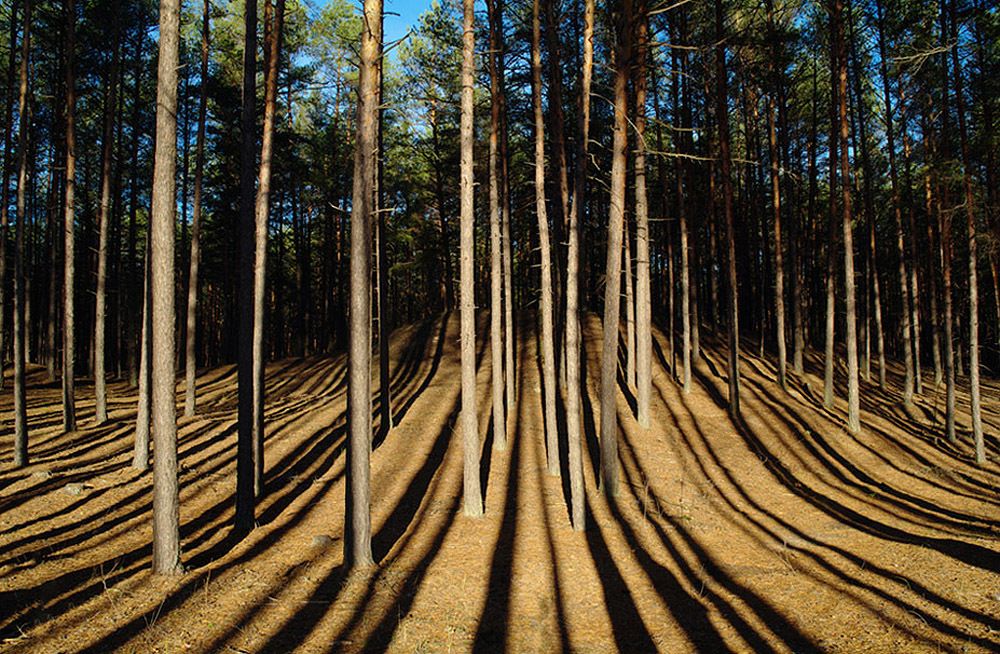 Photograph by Евгений Кулик