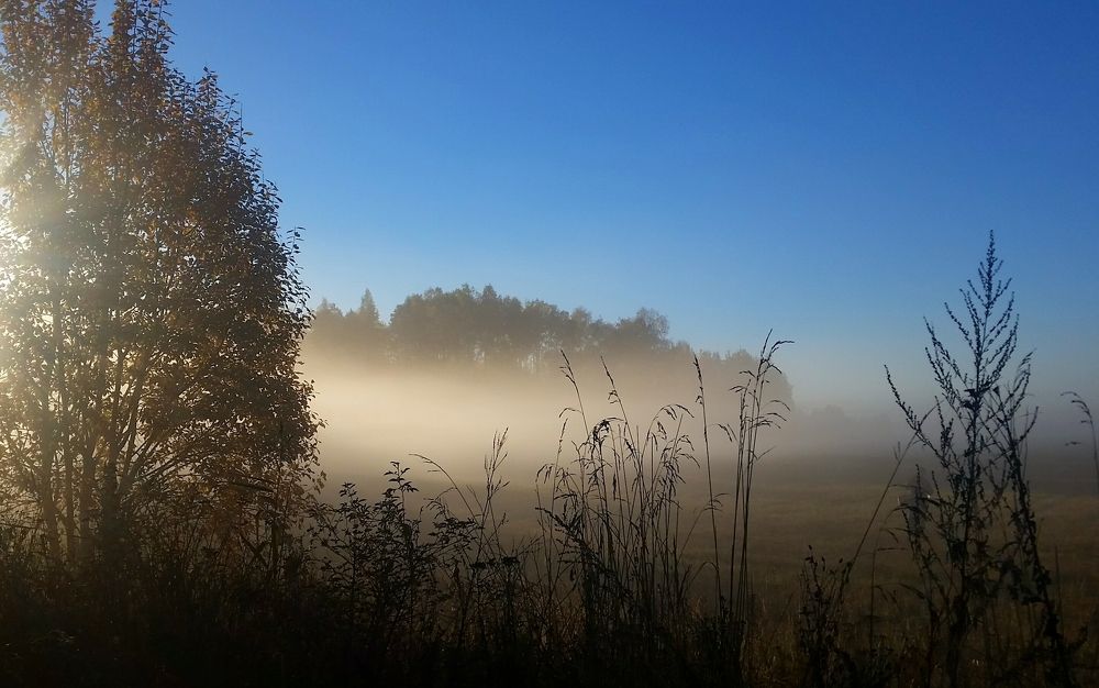 Утро туманное
