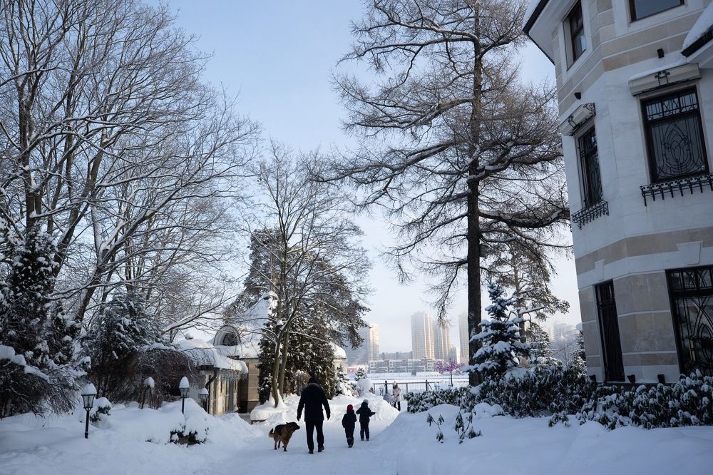 Фотография автора Olga Alekseeva