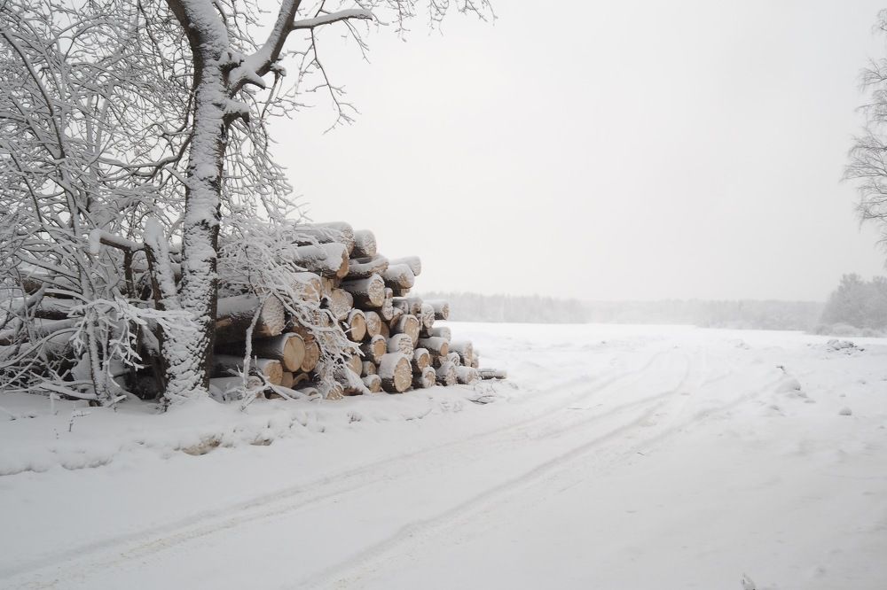 Photograph by Максим Воробьев