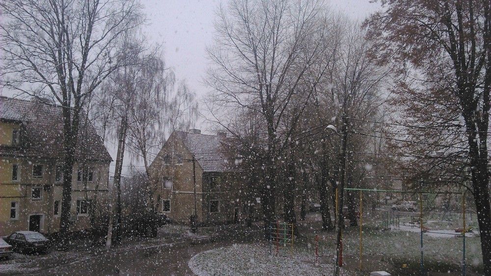 Первый снег