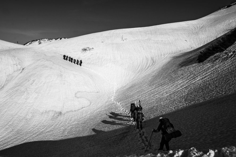 Photograph by Александр Пиленгас