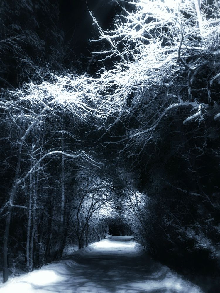 Новогодняя сказка