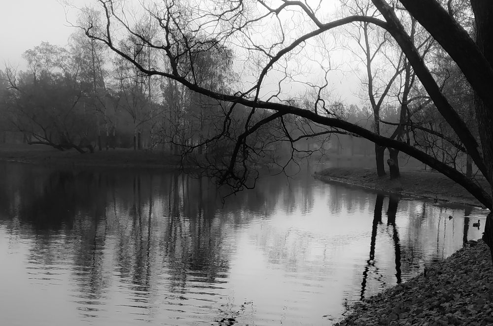 Photograph by Дарья