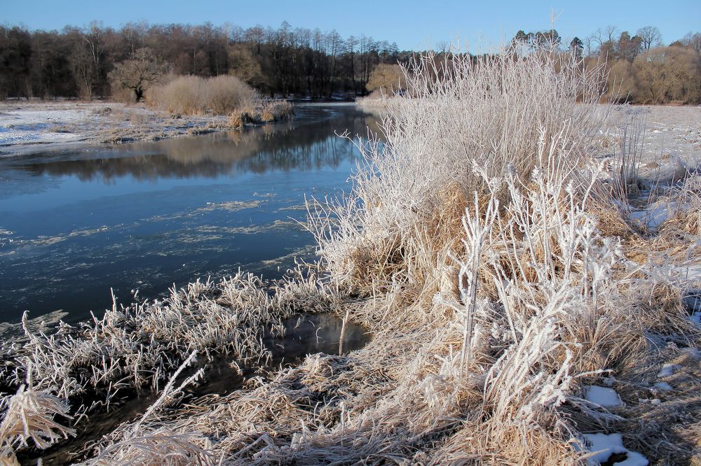 Морозным утром