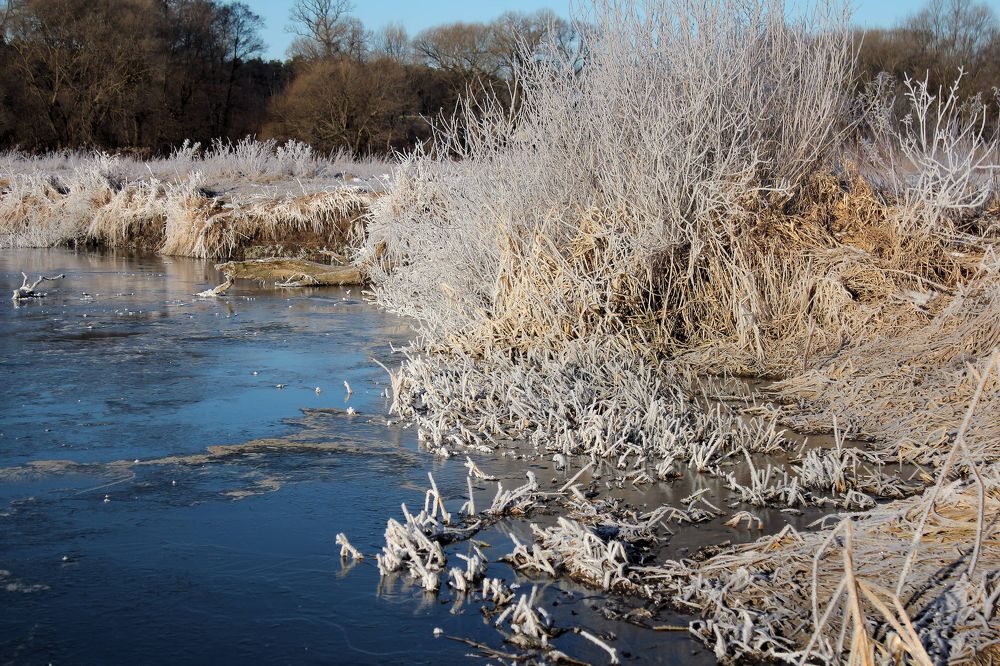 Морозным утром