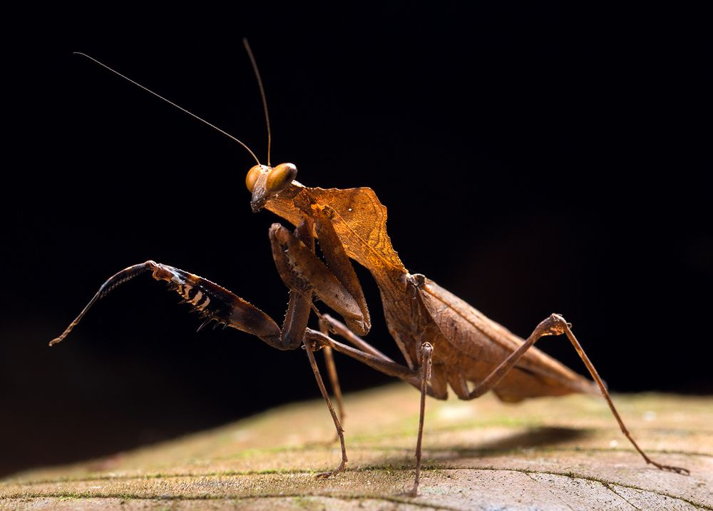 На подиуме (On the podium)